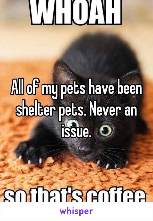 All of my pets have been shelter pets. Never an issue. 
