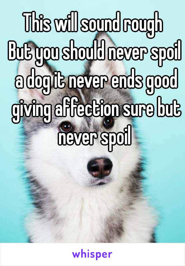 This will sound rough 
But you should never spoil a dog it never ends good giving affection sure but never spoil 