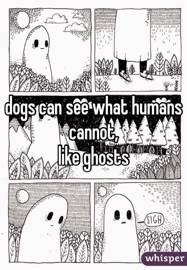 dogs can see what humans cannot, 
like ghosts 