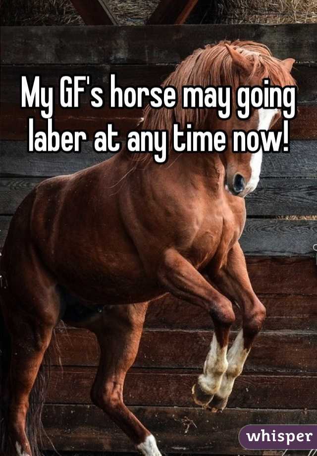 My GF's horse may going laber at any time now!