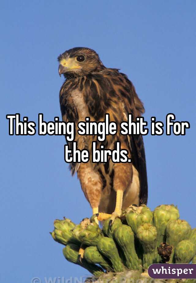 This being single shit is for the birds.
