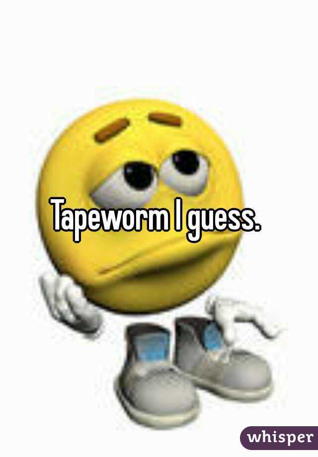 Tapeworm I guess. 