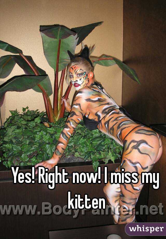 Yes! Right now! I miss my kitten