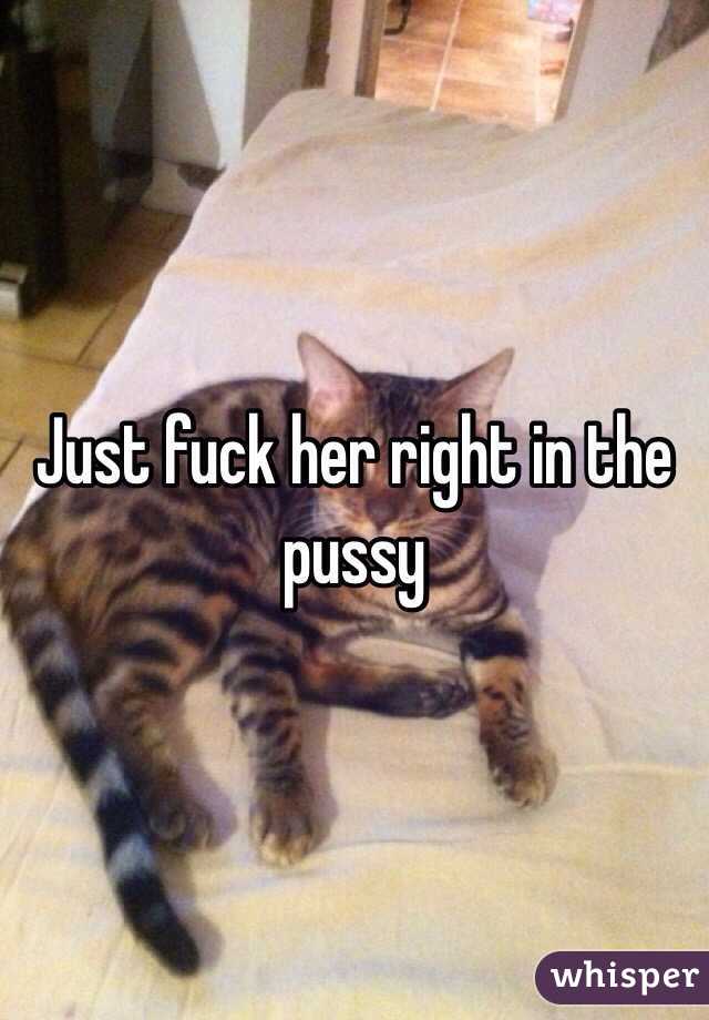 Just fuck her right in the pussy