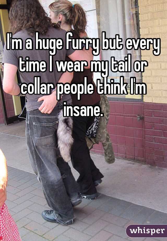 I'm a huge furry but every time I wear my tail or collar people think I'm insane.