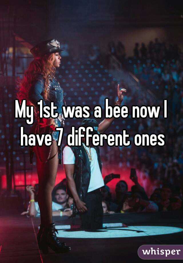 My 1st was a bee now I have 7 different ones