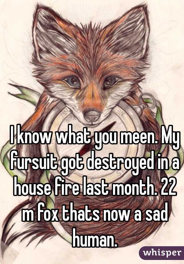 I know what you meen. My fursuit got destroyed in a house fire last month. 22 m fox thats now a sad human.