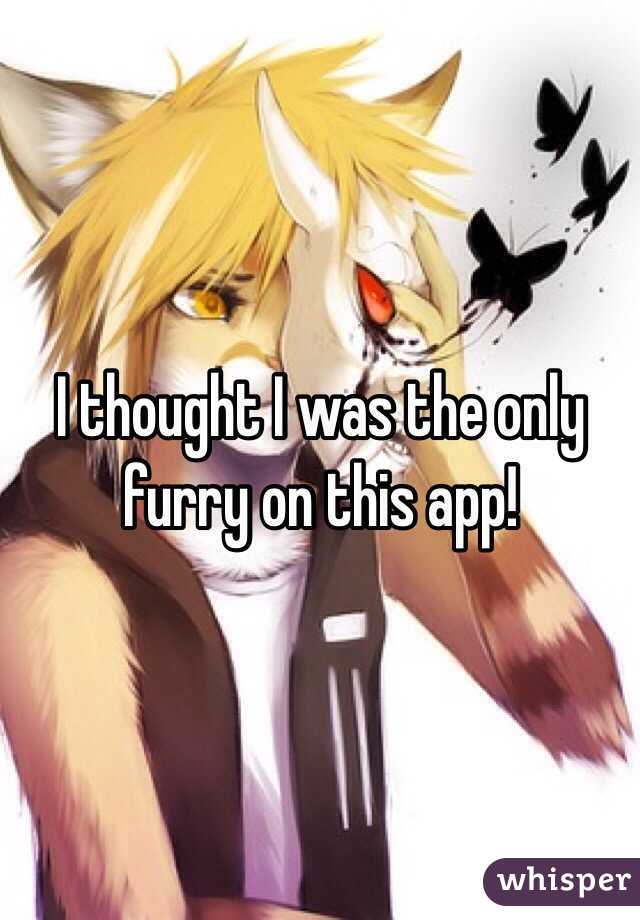 I thought I was the only furry on this app!