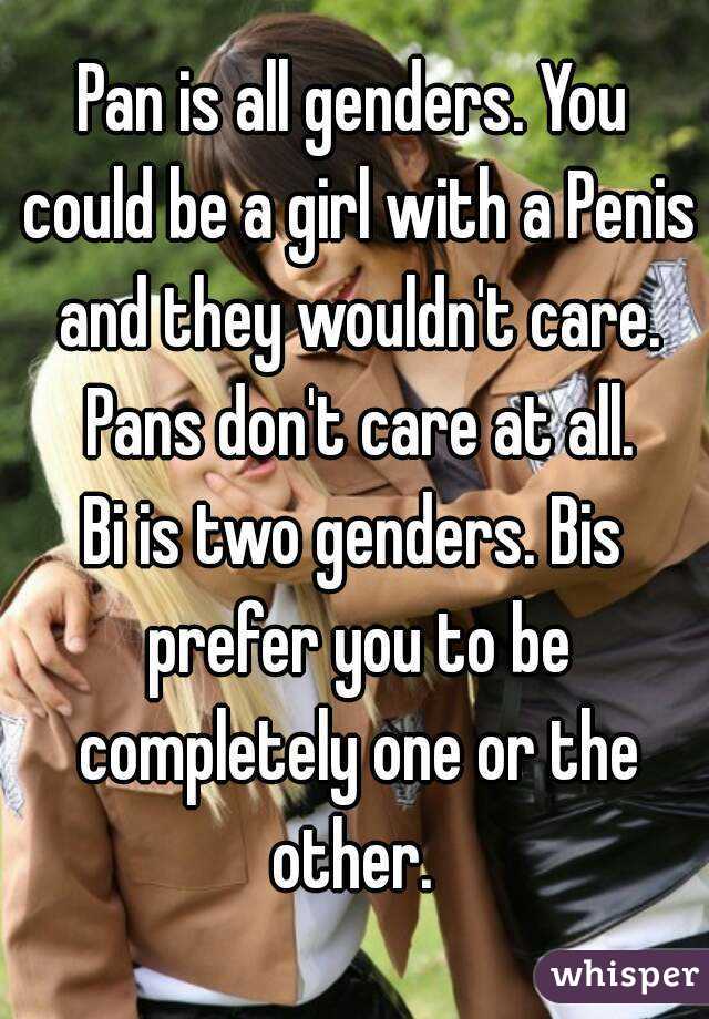 Pan is all genders. You could be a girl with a Penis and they wouldn't care. Pans don't care at all.
Bi is two genders. Bis prefer you to be completely one or the other. 