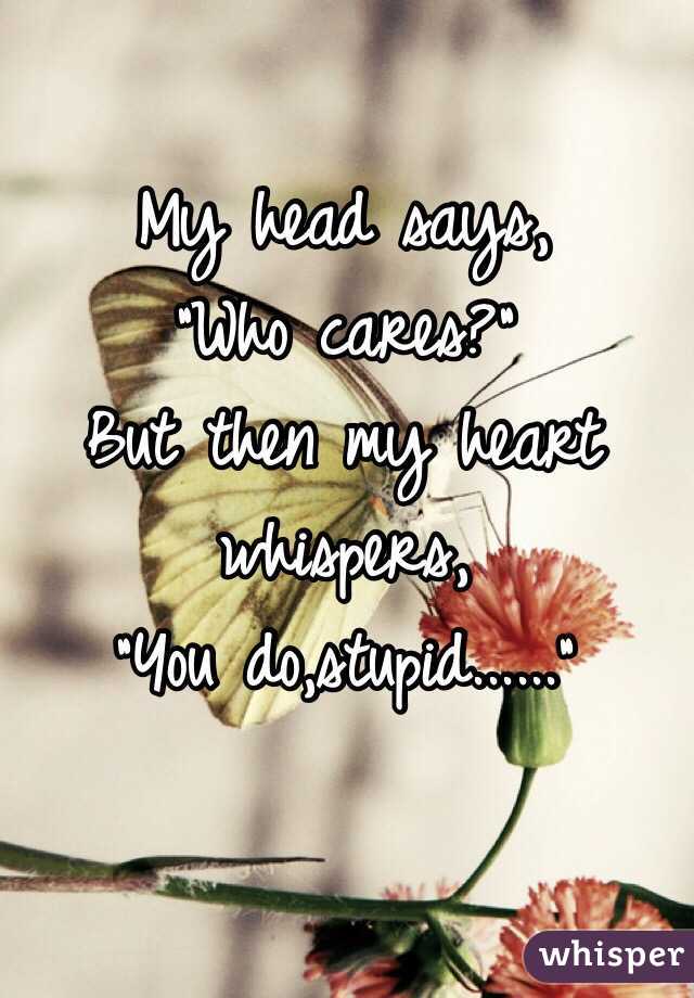 My head says, 
"Who cares?" 
But then my heart whispers,
"You do,stupid......"