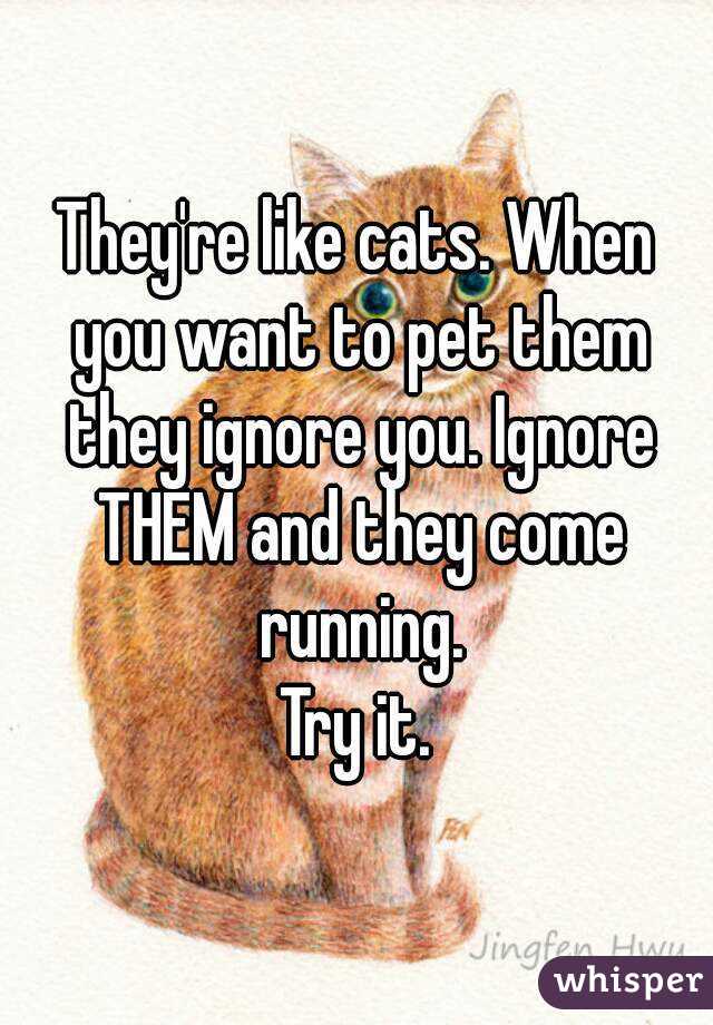 They're like cats. When you want to pet them they ignore you. Ignore THEM and they come running.
Try it.