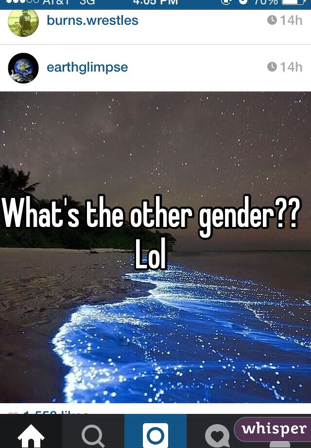 What's the other gender?? Lol