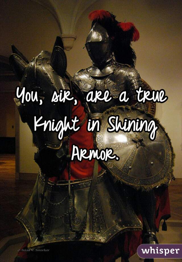 You, sir, are a true Knight in Shining Armor.
