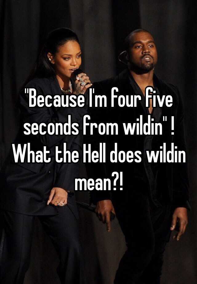 because-i-m-four-five-seconds-from-wildin-what-the-hell-does-wildin