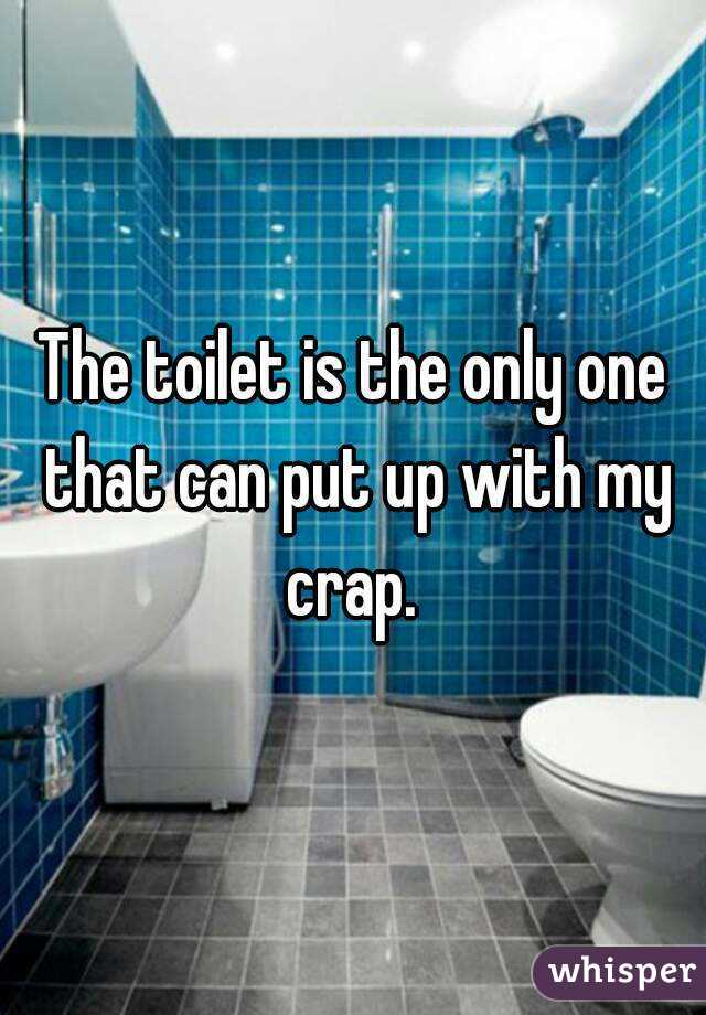 The toilet is the only one that can put up with my crap. 