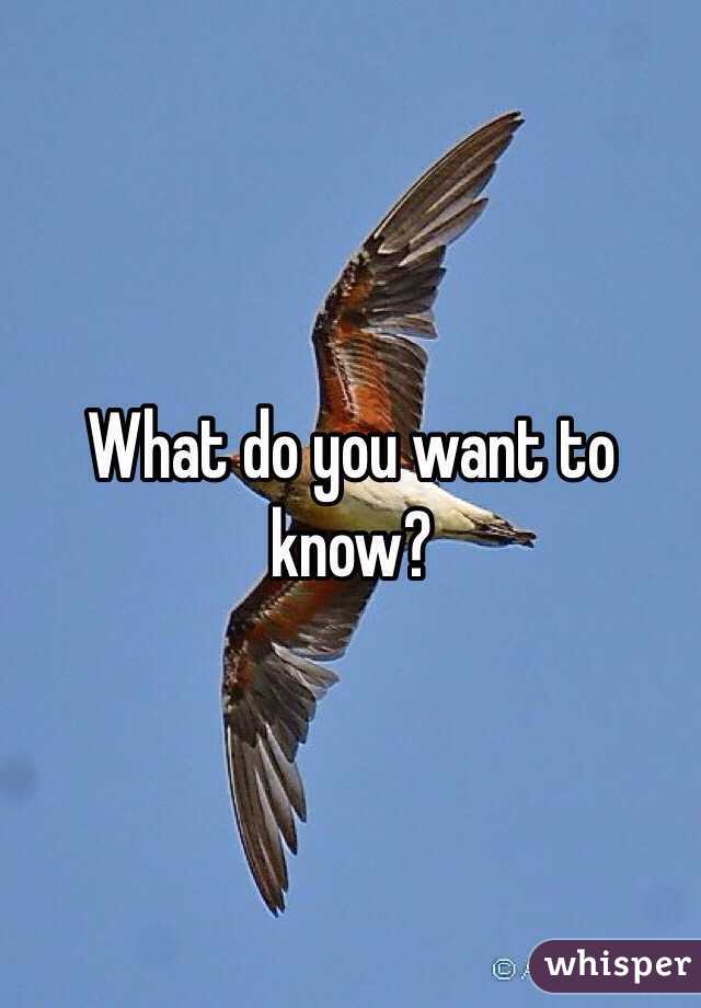 What do you want to know?