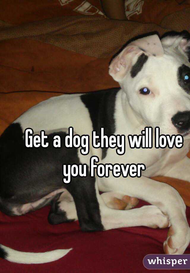 Get a dog they will love you forever 
