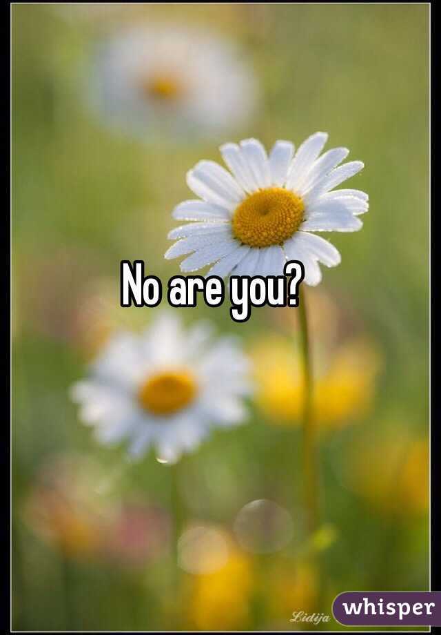 No are you? 