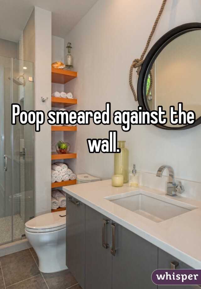 Poop smeared against the wall.