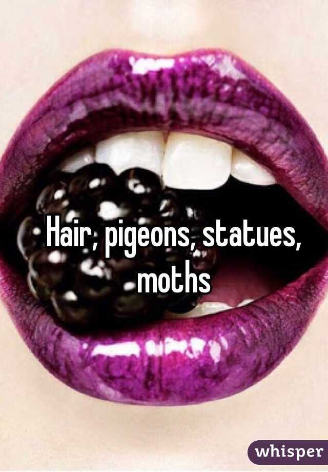 Hair, pigeons, statues, moths 