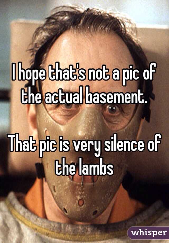 I hope that's not a pic of the actual basement.

That pic is very silence of the lambs 