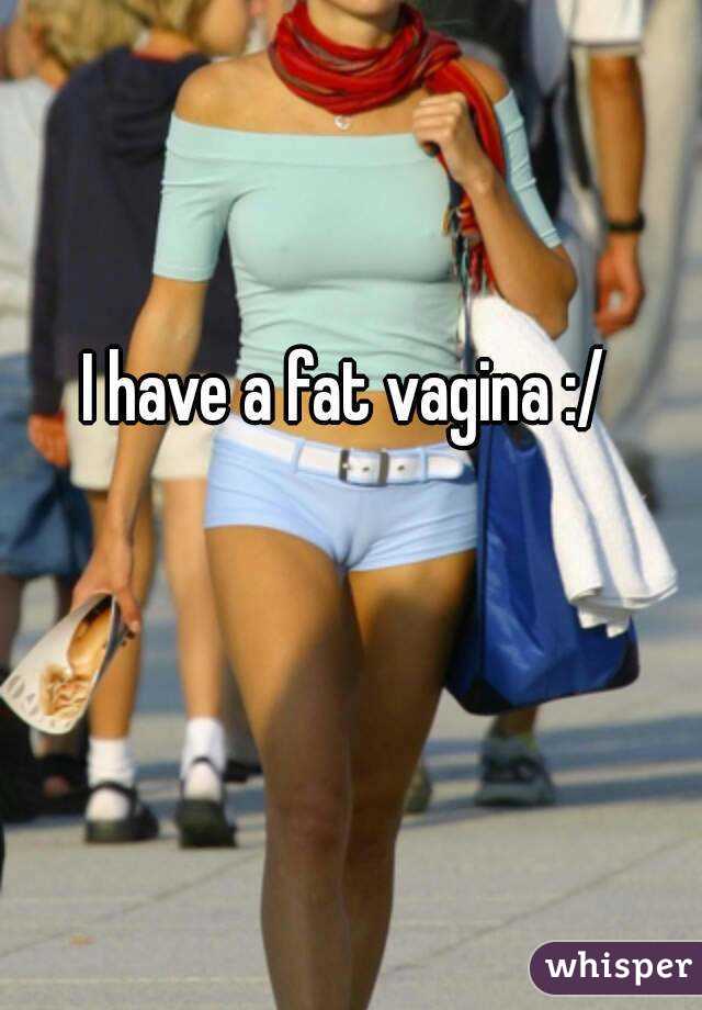 Fat Above Vagina 27