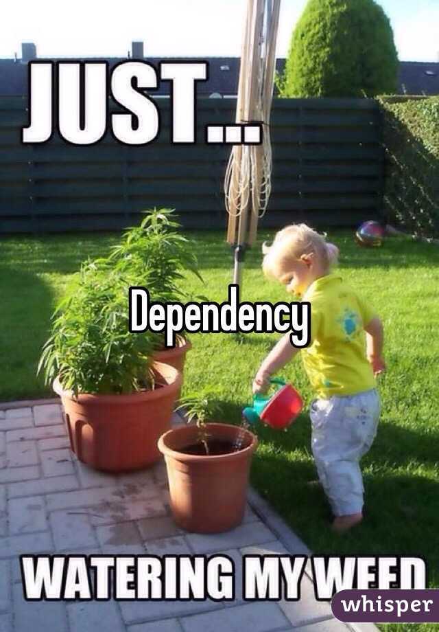 Dependency 