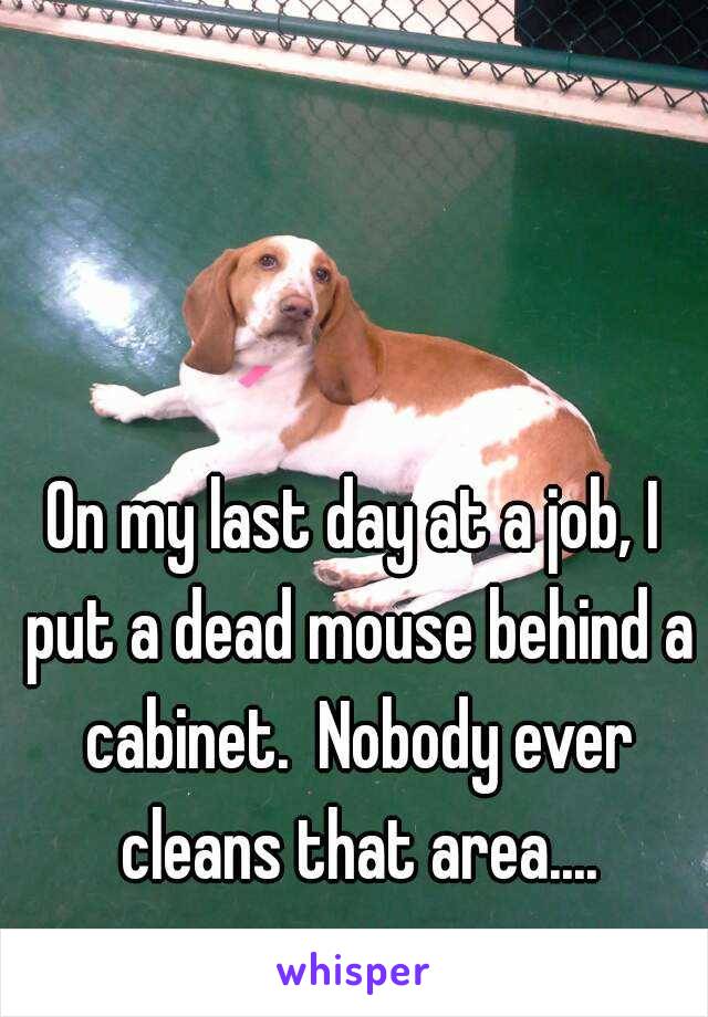 On my last day at a job, I put a dead mouse behind a cabinet.  Nobody ever cleans that area....