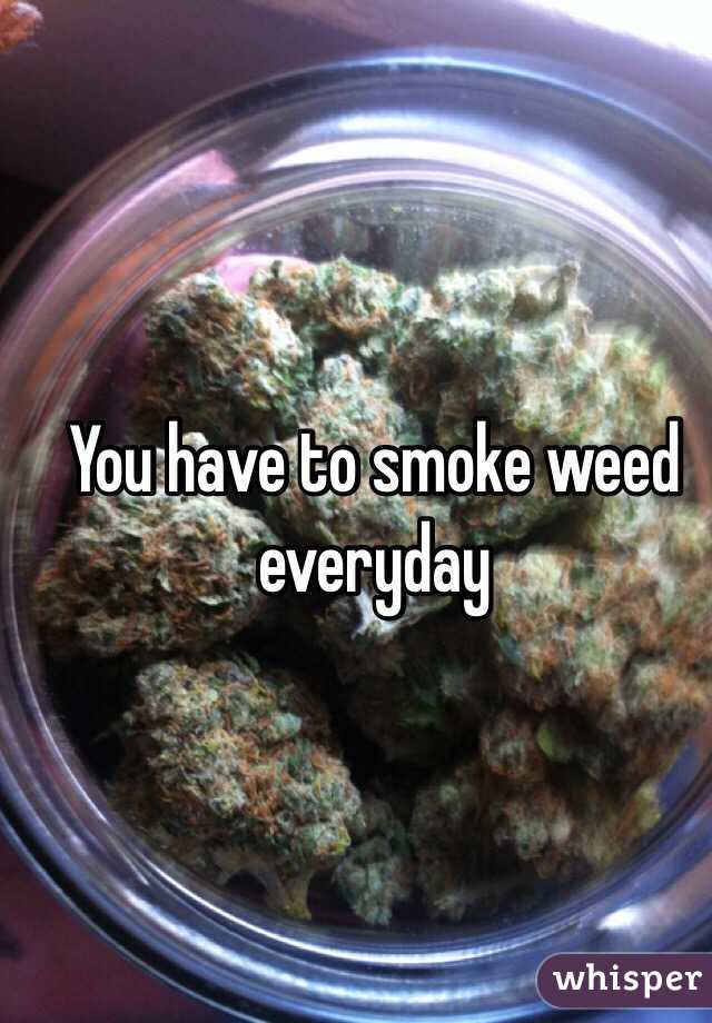 You have to smoke weed everyday
