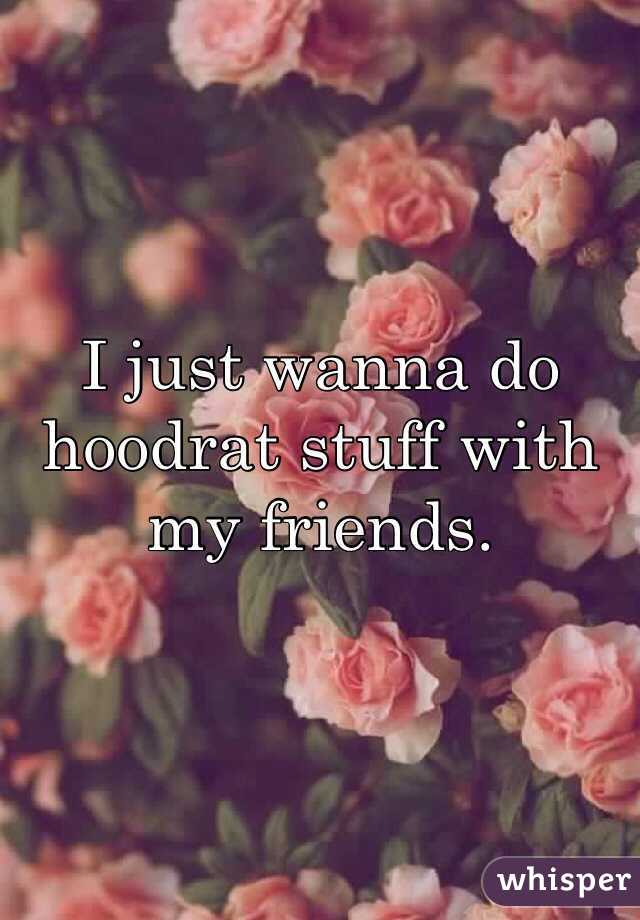 I just wanna do hoodrat stuff with my friends. 