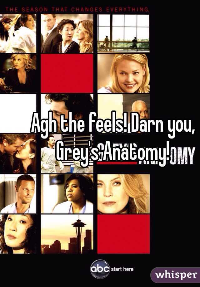 Agh the feels! Darn you, Grey's Anatomy!