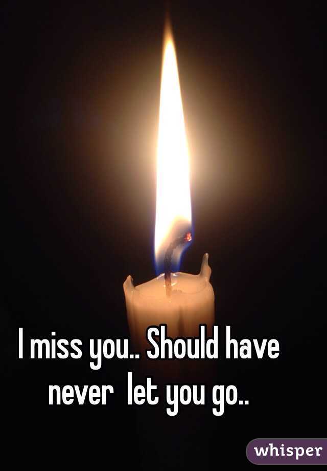 I miss you.. Should have never  let you go..