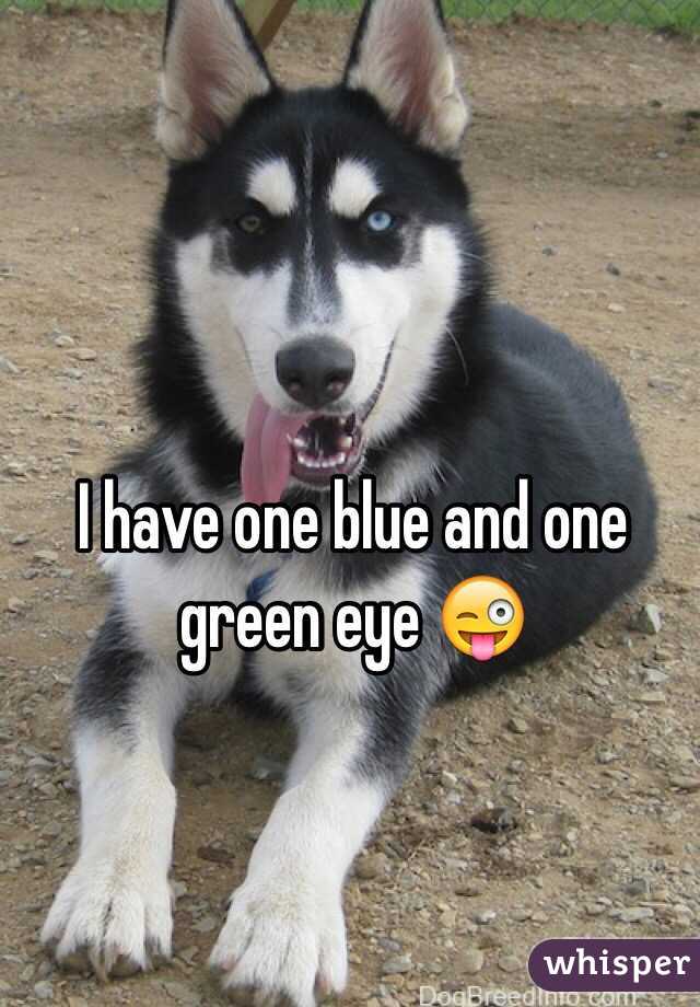 I have one blue and one green eye 😜