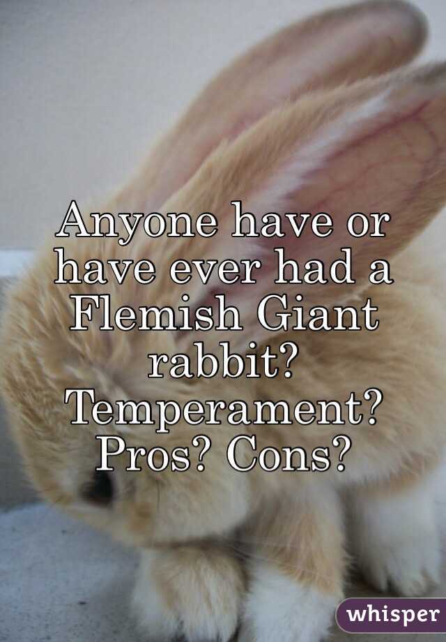 Anyone have or have ever had a Flemish Giant rabbit? Temperament? Pros? Cons?