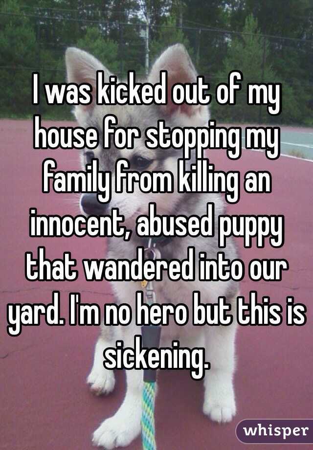 I was kicked out of my house for stopping my family from killing an innocent, abused puppy that wandered into our yard. I'm no hero but this is sickening.