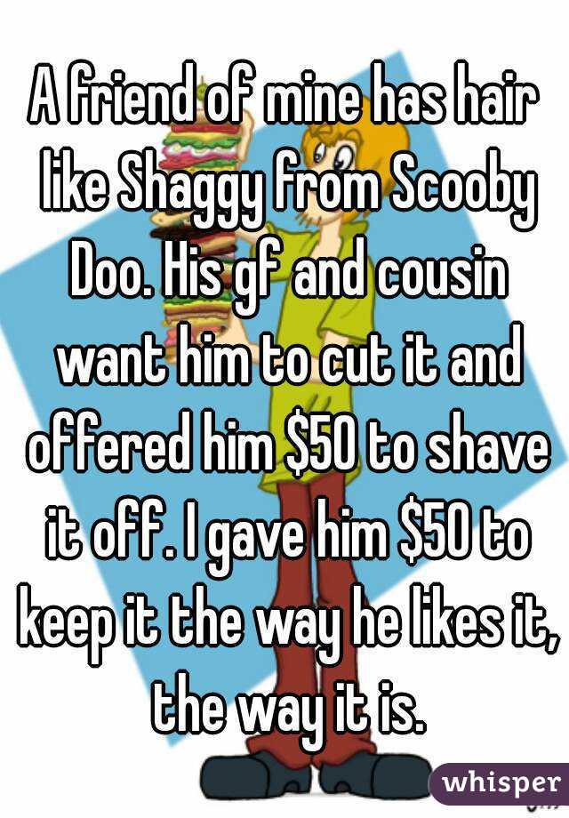 A friend of mine has hair like Shaggy from Scooby Doo. His gf and cousin want him to cut it and offered him $50 to shave it off. I gave him $50 to keep it the way he likes it, the way it is.
