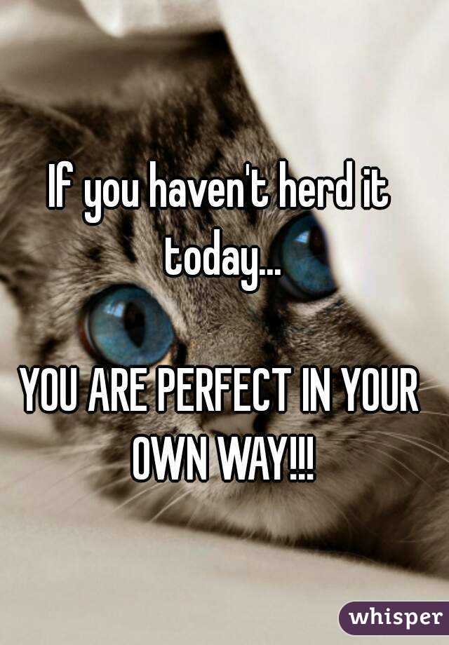 If you haven't herd it today...

YOU ARE PERFECT IN YOUR OWN WAY!!!