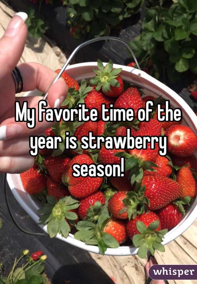 My favorite time of the year is strawberry season! 
