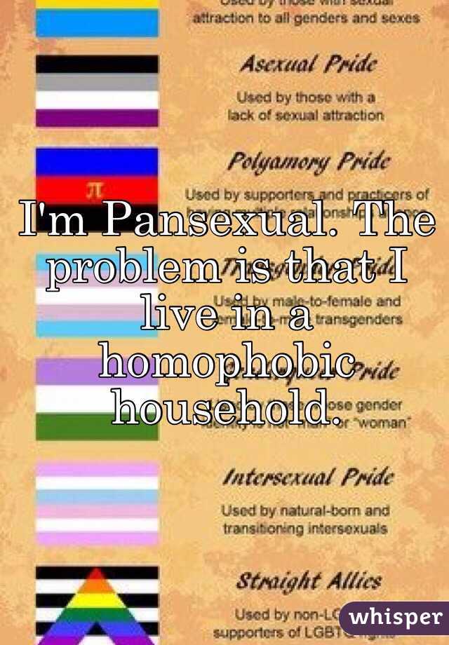 I'm Pansexual. The problem is that I live in a homophobic household.