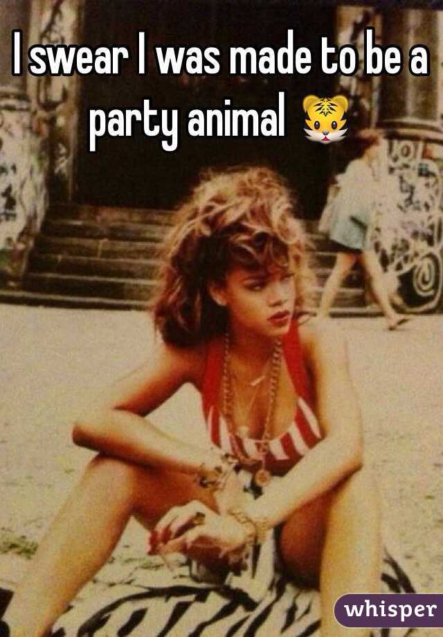 I swear I was made to be a party animal 🐯