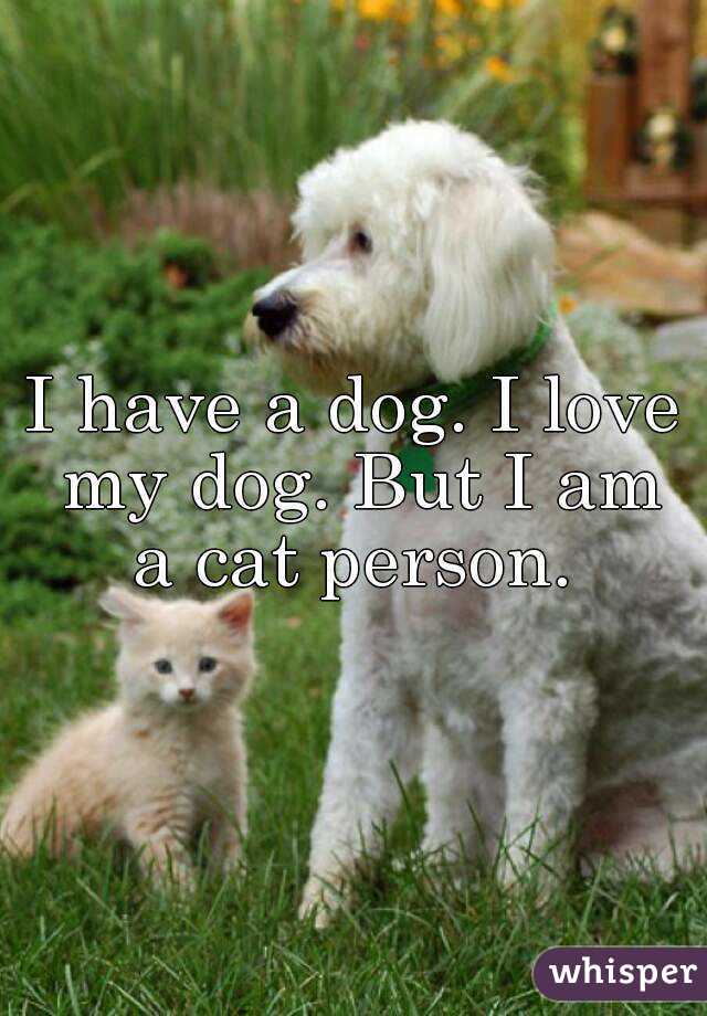 I have a dog. I love my dog. But I am a cat person. 