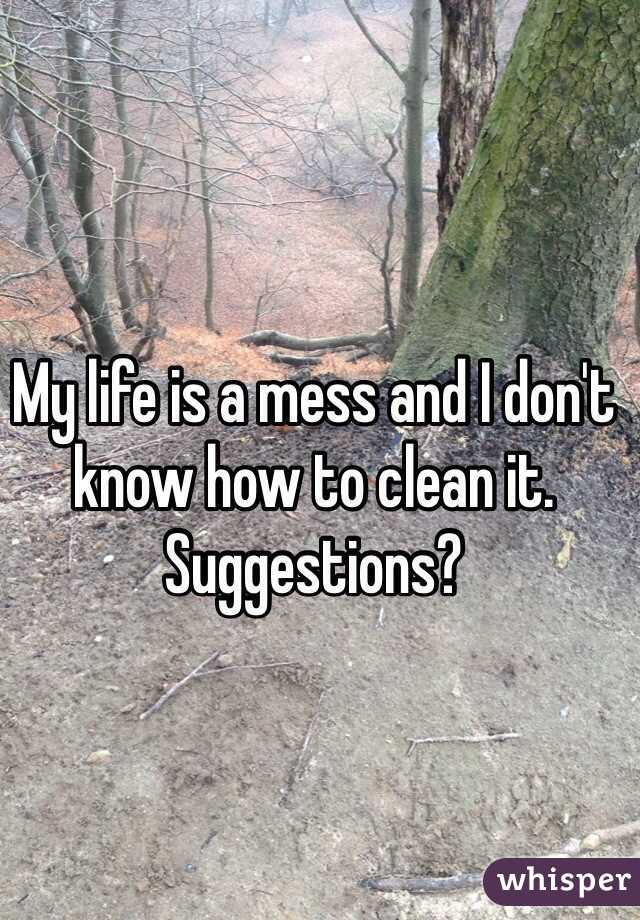 My life is a mess and I don't know how to clean it. 
Suggestions?