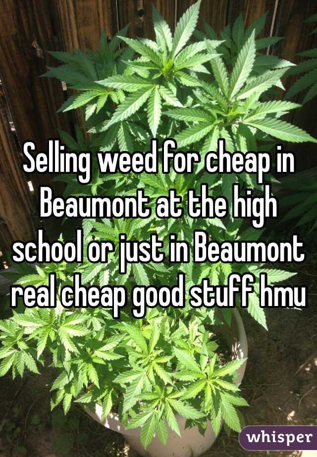 Selling weed for cheap in Beaumont at the high school or just in Beaumont real cheap good stuff hmu