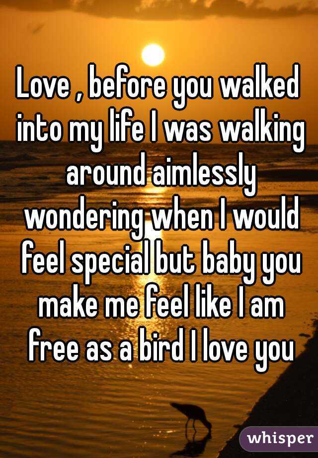 Love , before you walked into my life I was walking around aimlessly wondering when I would feel special but baby you make me feel like I am free as a bird I love you