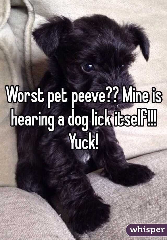 Worst pet peeve?? Mine is hearing a dog lick itself!!! Yuck! 