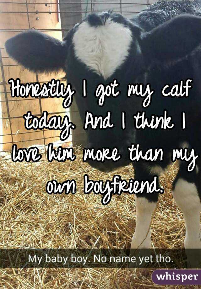 Honestly I got my calf today. And I think I love him more than my own boyfriend.