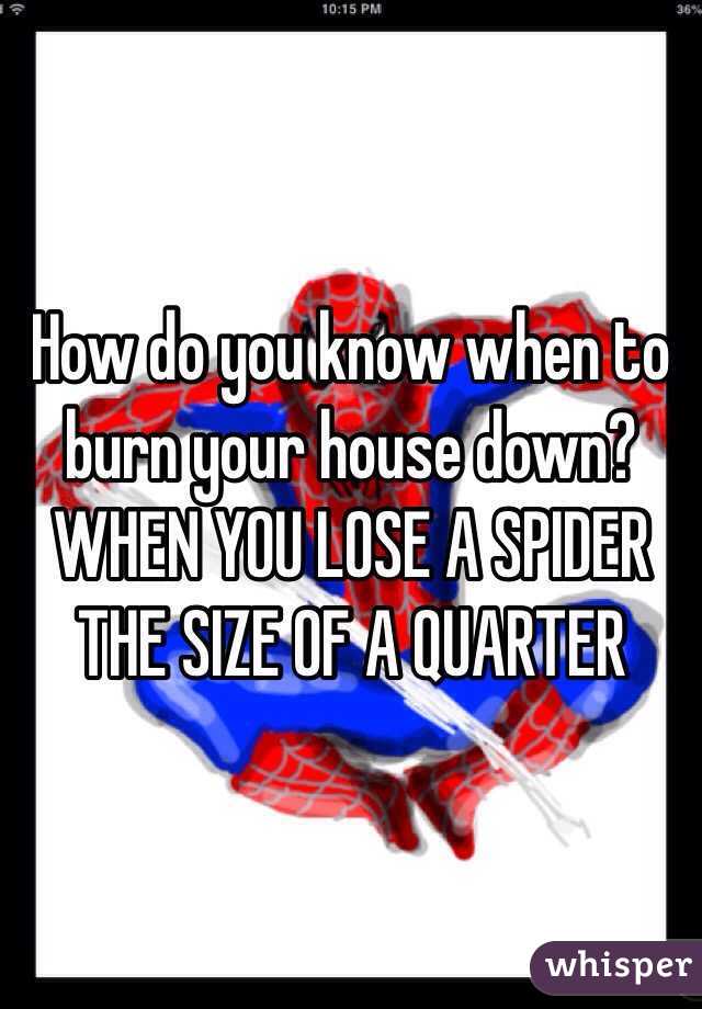 How do you know when to burn your house down? WHEN YOU LOSE A SPIDER THE SIZE OF A QUARTER 