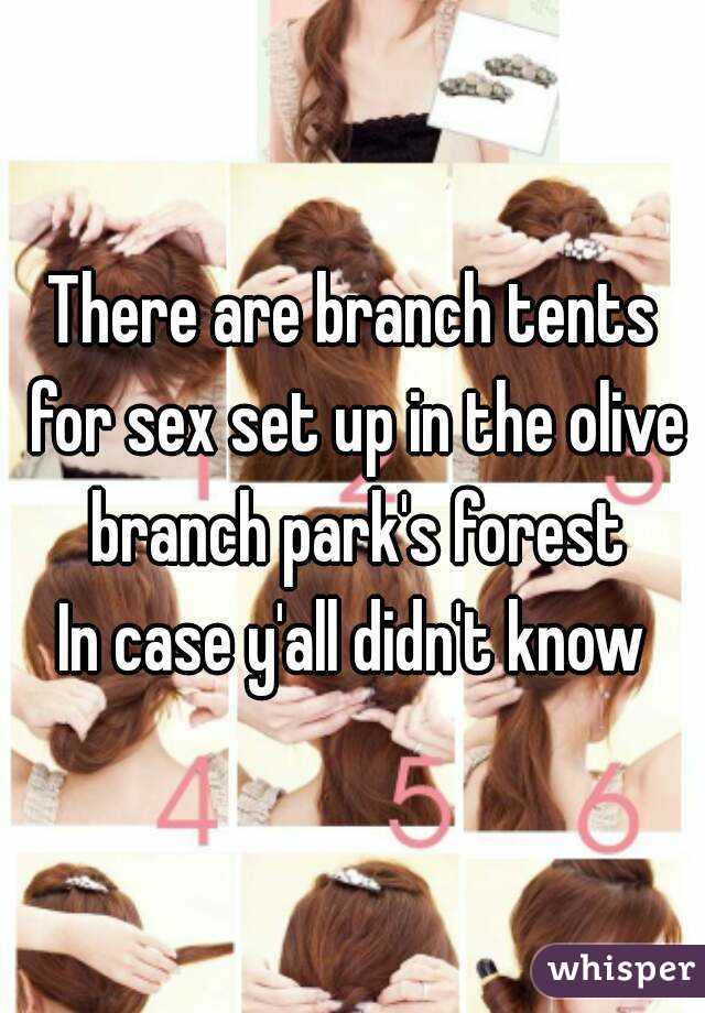 There are branch tents for sex set up in the olive branch park's forest
In case y'all didn't know