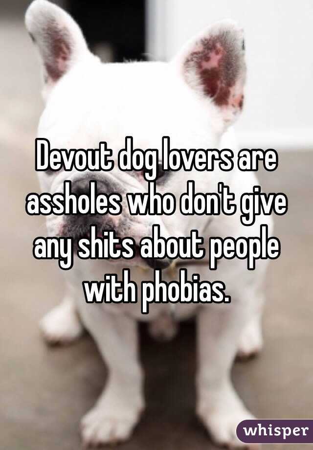 Devout dog lovers are assholes who don't give any shits about people with phobias.