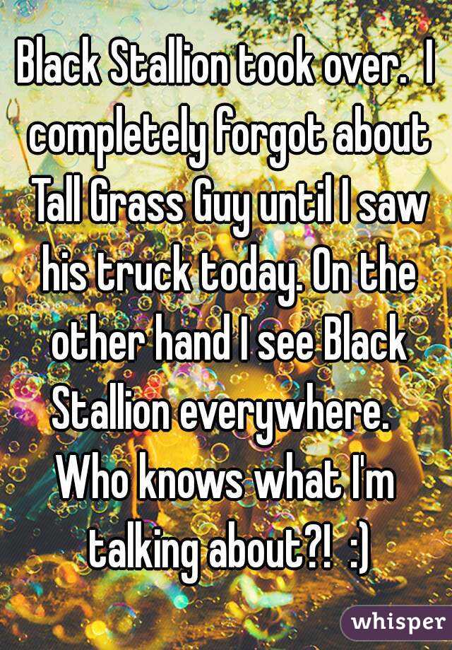 Black Stallion took over.  I completely forgot about Tall Grass Guy until I saw his truck today. On the other hand I see Black Stallion everywhere.  
Who knows what I'm talking about?!  :)